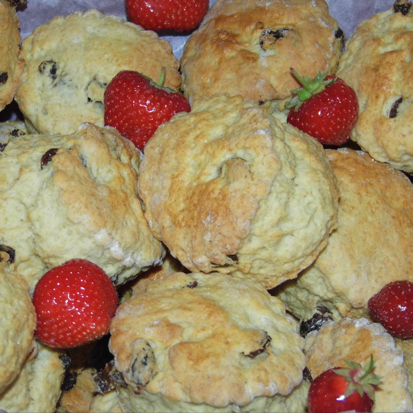 Freshly baked fruit  Cornish scones by post