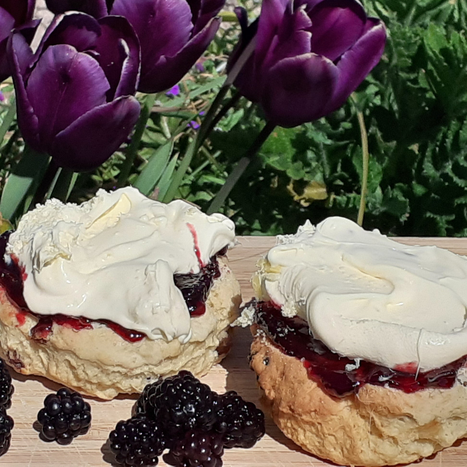 Two scones with blackberry jam and cream. Delicious Cornish cream tea by post