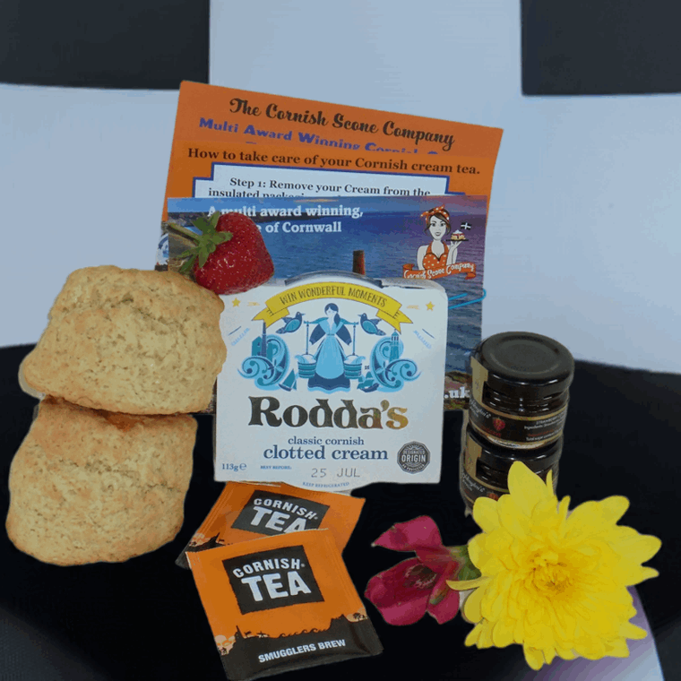 Plain cream tea for one