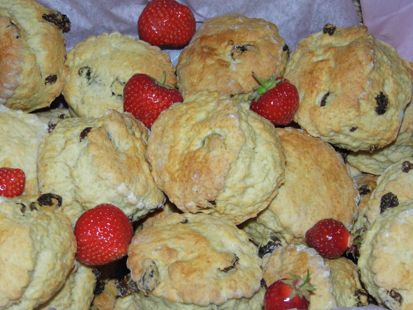 Freshly baked fruit scones