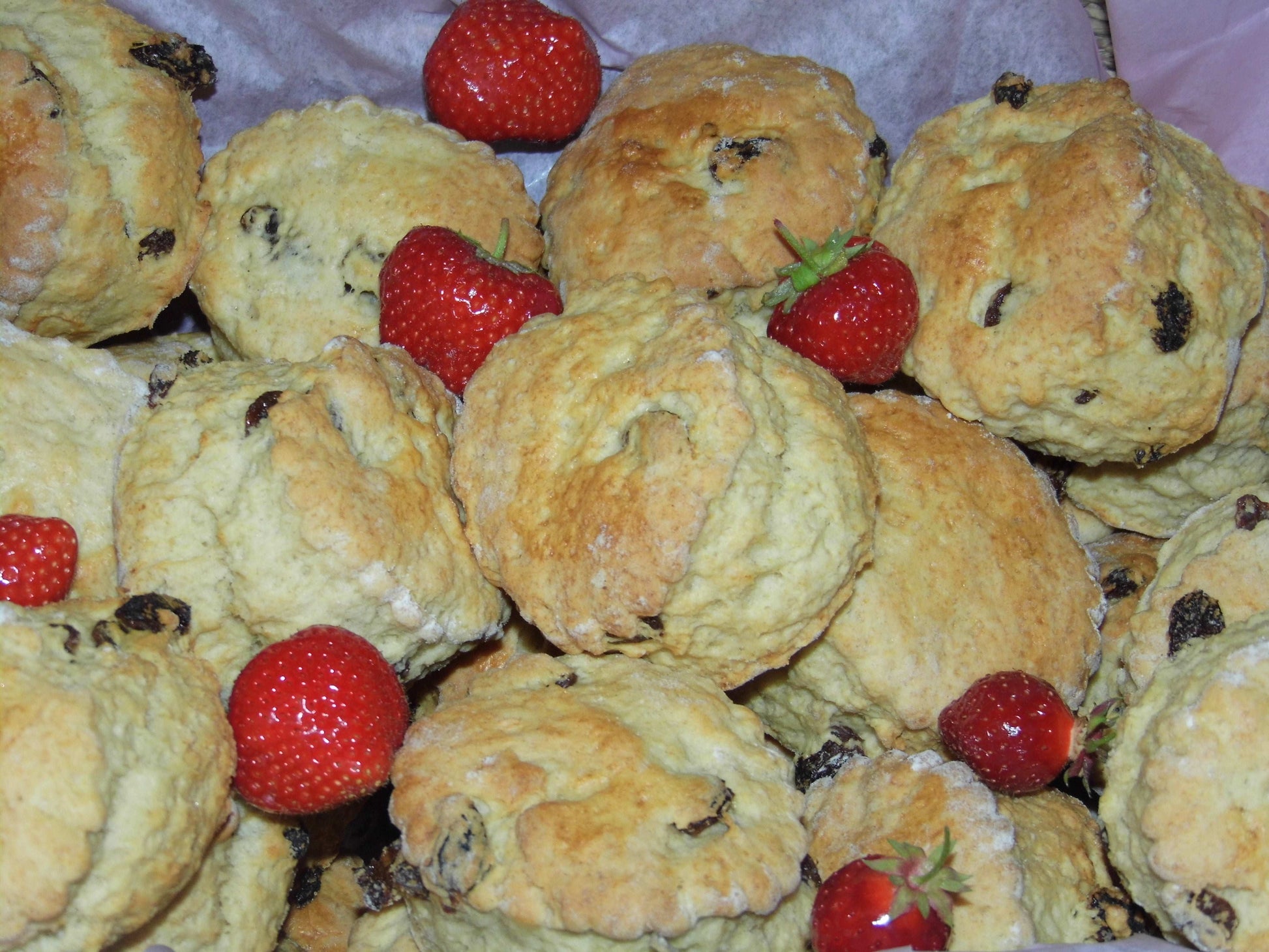 Freshly baked fruit scones
