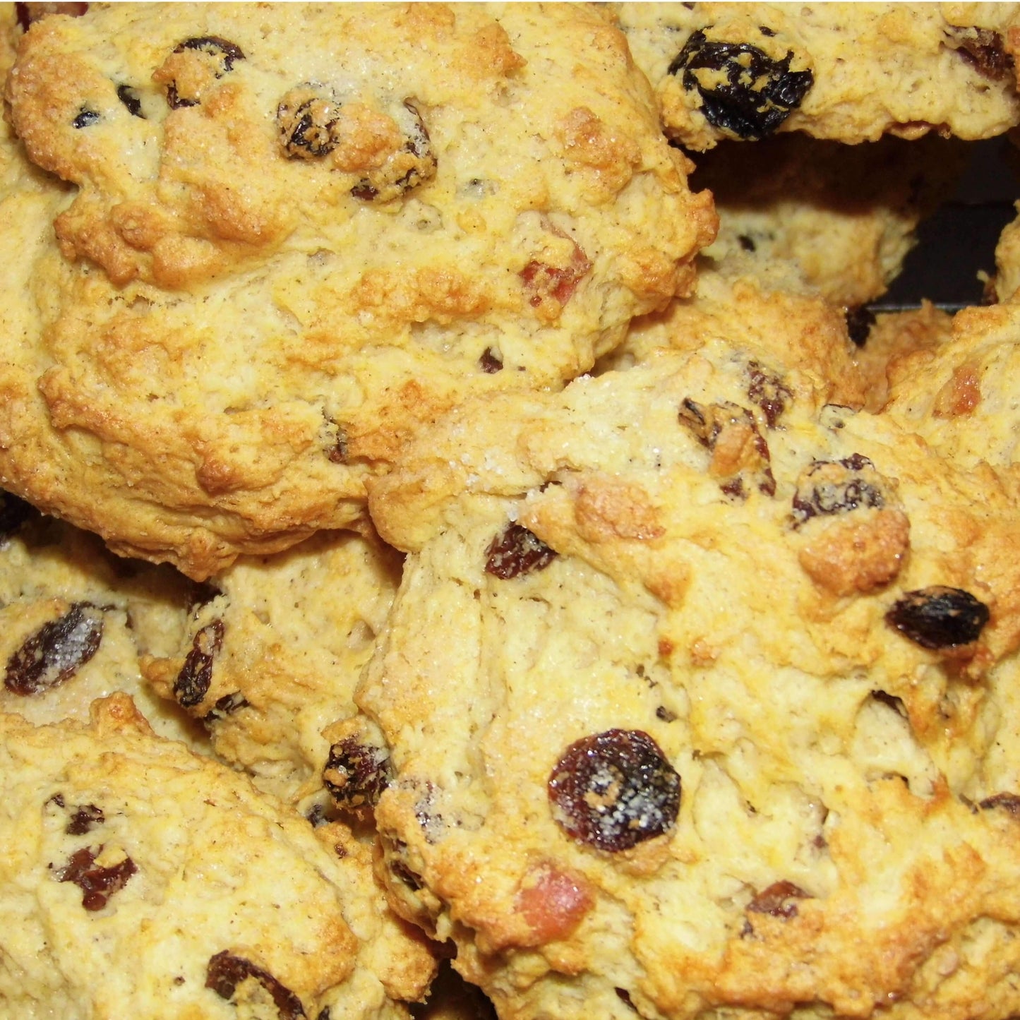 Very fruity Rock buns - from£10.50 - 6, 12 or 18 - The Cornish Scone Company